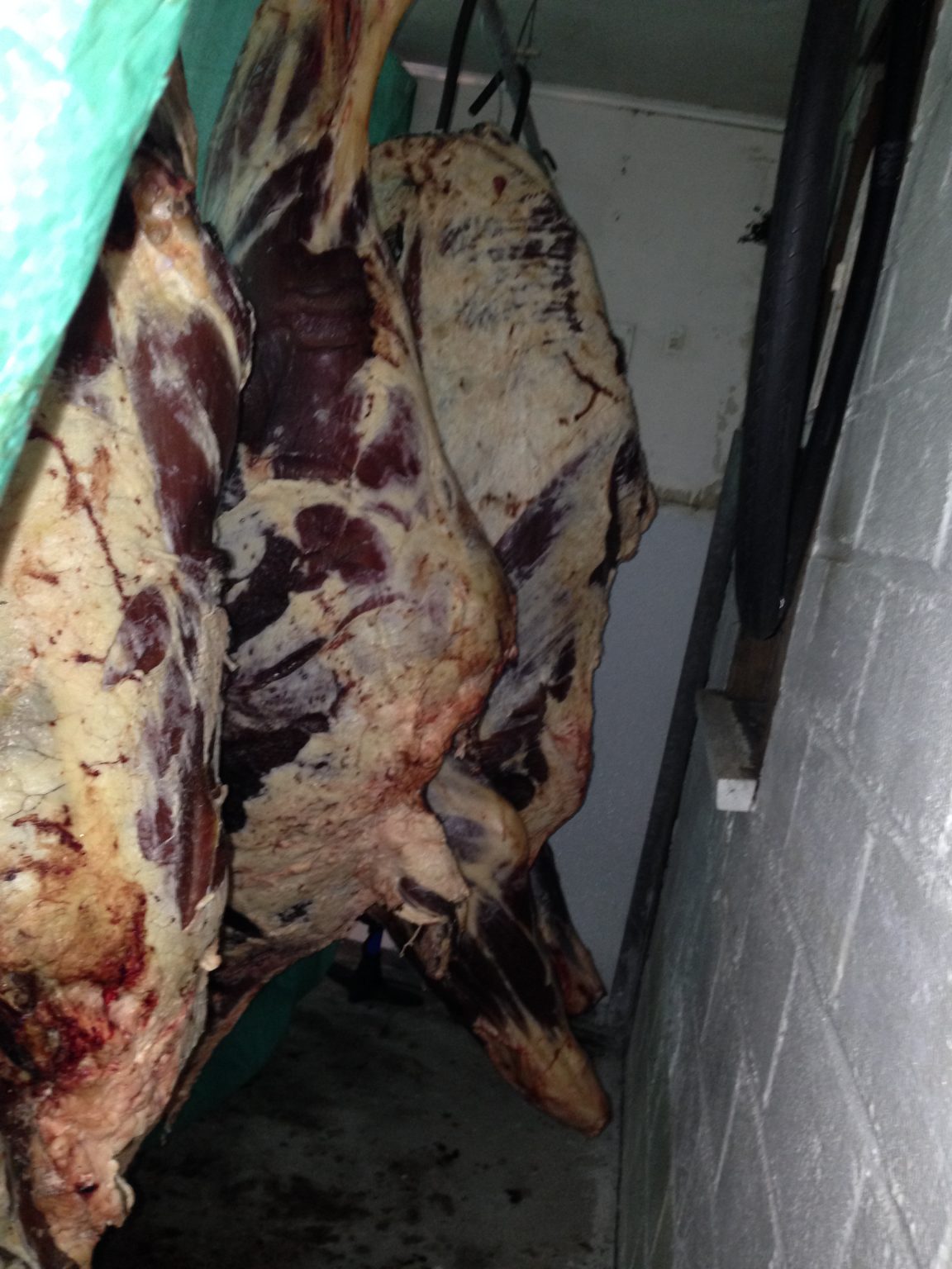 How Long should I hang Beef? Home Butcher Guide